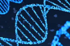 (Ảnh minh họa. Nguồn: Getty images)