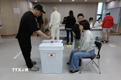 Cử tri bỏ phiếu sớm bầu Tổng thống tại điểm bầu cử ở Seoul, Hàn Quốc, ngày 29/5/2025. (Ảnh: Yonhap/TTXVN)