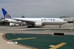 Máy bay của Hãng hàng không United Airlines tại sân bay quốc tế Los Angeles, Mỹ. (Ảnh: AFP/TTXVN)