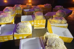 240kg chả mực không có thông tin về nguồn gốc xuất xứ được lực lượng chức năng thu giữ. (Ảnh: Báo Hà Tĩnh)
