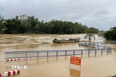 Nước lũ trên sông Trà Khúc dâng cao gây ngập đường vào xóm Lân, xã Tịnh Khê, tỉnh Quảng Ngãi. (Ảnh: Phạm Cường/TTXVN)