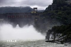 (Ảnh minh họa. Trọng Đạt/TTXVN)