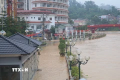 Nước sông Bằng đang lên rất nhanh, có thể gây ngập lụt ở các vùng trũng. (Ảnh: Chu Hiệu/TTXVN)