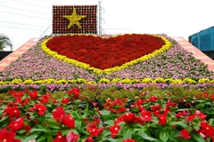 Tiểu cảnh “Trái tim” kết hợp cùng cờ đỏ, sao vàng được xếp hình từ khoảng 1.700 chậu hoa tươi các loại. (Ảnh: Nhựt An/TTXVN)