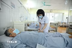 Bệnh nhân sốt xuất huyết điều trị tại Bệnh viện đa khoa Đức Giang. (Ảnh: Minh Quyết/TTXVN)