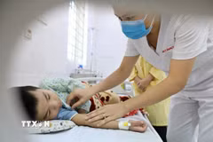 Bệnh nhi mắc sốt xuất huyết. (Ảnh: Minh Quyết/TTXVN)