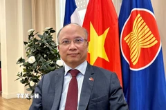 Đại sứ Việt Nam tại Pháp Đinh Toàn Thắng. (Ảnh: Nguyễn Thu Hà/TTXVN)
