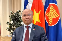 Đại sứ Việt Nam tại Pháp Đinh Toàn Thắng. (Ảnh: Nguyễn Thu Hà/TTXVN)