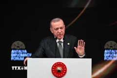 Tổng thống Thổ Nhĩ Kỳ Recep Tayyip Erdogan. (Ảnh: THX/TTXVN)