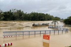 Nước lũ trên sông Trà Khúc dâng cao gây ngập đường vào xóm Lân, xã Tịnh Khê, tỉnh Quảng Ngãi. (Ảnh: Phạm Cường/TTXVN)