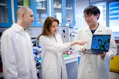 Nhóm các nhà khoa học do Phó Giáo sư Guillaume Thibault (trái) của Đại học Công nghệ Nanyang (NTU) dẫn đầu, bao gồm cả giáo sư thỉnh giảng Kimberly Kline (giữa) của Đại học Geneva và nghiên cứu sinh Aaron Tan của NTU. (Ảnh: NTU)