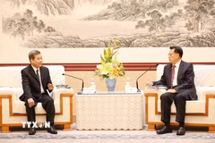 Trưởng Ban Nội chính Trung ương Lê Minh Trí (trái) hội kiến đồng chí Viên Gia Quân, Ủy viên Bộ Chính trị, Bí thư Thành ủy Trùng Khánh. (Ảnh: Công Tuyên/TTXVN)