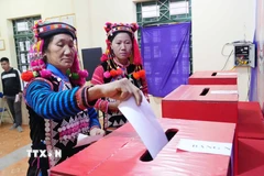 Đồng bào dân tộc Hà Nhì trong trang phục rực rỡ bỏ phiếu tại Tổ bầu cử số 1, xã Sín Thầu. (Ảnh: Trung Kiên/TTXVN)