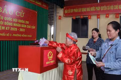 Cụ Lê Thị Nình, 100 tuổi (phường Hồng Châu) trực tiếp bỏ phiếu bầu cử tại khu vực bỏ phiếu số 2 phường Hồng Châu, tỉnh Hưng Yên. (Ảnh: Nguyễn Công Hải/TTXVN)