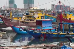 Đà Nẵng chuyển biến từ cơ sở trong nỗ lực gỡ thẻ vàng IUU