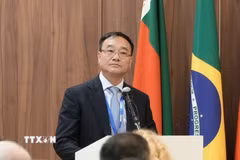 Thứ trưởng Phạm Thế Tùng phát biểu tại phiên toàn thể của Hội nghị. (Ảnh: Tâm Hằng/TTXVN)