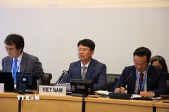 Thứ trưởng Bộ Tư pháp Nguyễn Thanh Tịnh phát biểu tại phiên đối thoại. (Ảnh: Anh Hiển/ TTXVN)