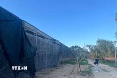 Đoạn tường thành đang được triển khai công tác bả màu hoàn thiện có tính chất tương đồng với các đoạn tường thành trong khu vực. (Ảnh: Văn Dũng/TTXVN)