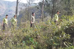 Lực lượng kiểm lâm Vườn Quốc gia Hoàng Liên tuần tra rừng trong những ngày cao điểm nắng nóng. (Ảnh: Hương Thu/TTXVN)