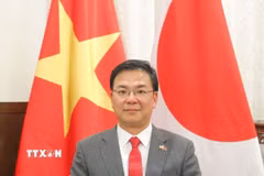 Đại sứ Việt Nam tại Nhật Bản Phạm Quang Hiệu. (Ảnh: Xuân Giao/TTXVN)