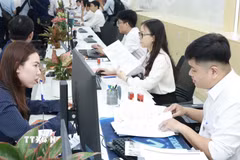 Chuyên viên tiếp nhận hồ sơ của người dân, doanh nghiệp tại Trung tâm Phục vụ hành chính công Thành phố Hồ Chí Minh. (Ảnh: Xuân Anh/TTXVN)