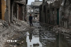 Cảnh tàn phá do xung đột tại Shati, Gaza. (Ảnh: THX/TTXVN)