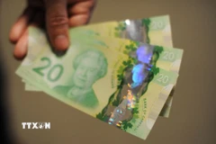 Đồng tiền mệnh giá 20 đôla Canada. (Ảnh: AFP/TTXVN)