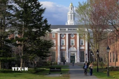 Đại học Harvard ở Cambridge, bang Massachusetts, Mỹ. (Ảnh: Reuters/TTXVN)