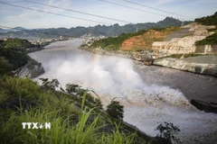 (Ảnh minh họa. Trọng Đạt/TTXVN)