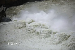 (Ảnh minh họa. Trọng Đạt/TTXVN)