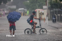 Cảnh ngập lụt sau những trận mưa lớn do ảnh hưởng của bão Wipha tại Quezon, Philippines. (Ảnh: THX/TTXVN)