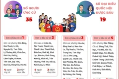 8 đơn vị bầu cử của tỉnh Ninh Bình