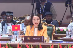 Thứ trưởng Bộ Ngoại giao Nguyễn Minh Hằng phát biểu tại Phiên thảo luận về chủ đề “Cải cách các hệ thống đa phương và quản trị toàn cầu” và phiên bế mạc. (Ảnh: Quang Trung/TTXVN)
