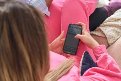 (Ảnh minh họa. Nguồn: csacentre)