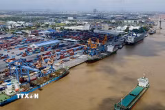 Cảng Hải Phòng đã thực hiện cung cấp một chuỗi các dịch vụ trọn gói cho khách hàng, bao gồm vận tải-lai dắt-xếp dỡ hàng hóa. (Ảnh: Tuấn Anh/TTXVN)