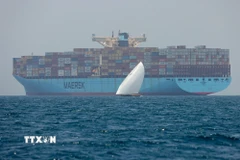 Tàu container của hãng Maersk. (Ảnh: AFP/TTXVN)