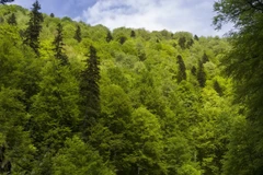 (Ảnh minh họa. Nguồn: euronatur)