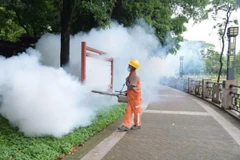 Một nhân viên vệ sinh phun thuốc trừ sâu để ngăn chặn sự lây lan của bệnh Chikungunya. (Ảnh: Getty images)