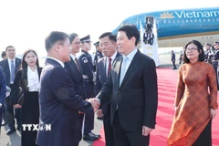 Đại biểu Hàn Quốc đón Chủ tịch nước Lương Cường tại sân bay quân sự Gimhae ở thành phố Busan (Hàn Quốc). (Ảnh: Lâm Khánh/TTXVN)