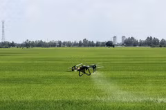 Nông dân An Giang sử dụng thiết bị bay không người lái để chăm sóc đồng ruộng. (Ảnh: Thanh Sang/TTXVN)