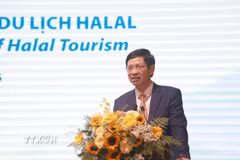 Ông Hồ An Phong, Thứ trưởng Bộ Văn hóa, Thể thao và Du lịch phát biểu tại hội nghị. (Ảnh: Xuân Triệu/TTXVN)