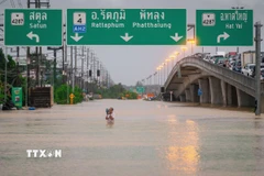 Khu vực bị ngập lụt tại tỉnh Songkhla, Thái Lan ngày 25/11/2025. (Ảnh: THX/TTXVN)