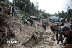 Lực lượng cứu hộ và người dân thu dọn bùn đất sau lũ lụt và lở đất tại Bắc Sumatra, Indonesia, ngày 28/11/2025. (Ảnh: THX/TTXVNc)