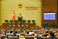 Quốc hội biểu quyết thông qua Nghị quyết của Quốc hội quy định một số cơ chế, chính sách tháo gỡ khó khăn, vướng mắc trong tổ chức thi hành Luật Đất đai. (Ảnh: Doãn Tấn/TTXVN)