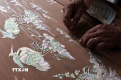 Đặt mẫu trai trên gỗ trước khi đục mảnh. (Ảnh: Trần Việt/TTXVN)