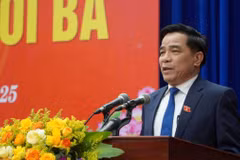Ông Lê Văn Dũng phát biểu tại kỳ họp. (Ảnh: Cổng Thông tin Điện tử tỉnh Quảng Nam)