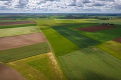(Ảnh minh họa. Nguồn: AFP/Getty Images)