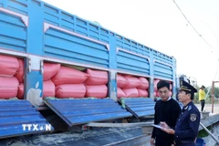 Công chức Hải quan kiểm hóa hàng nhập khẩu qua cửa khẩu quốc tế Thường Phước, xã Thường Phước, tỉnh Đồng Tháp. (Ảnh: Phạm Hậu/TTXVN)