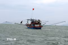 Tàu đánh cá trên biển. (Ảnh: Đỗ Trưởng/TTXVN)
