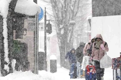 Tuyết rơi kỷ lục tại Nhật Bản. (Ảnh: japannews)